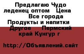 Предлагаю Чудо леденец оптом › Цена ­ 200 - Все города Продукты и напитки » Другое   . Пермский край,Кунгур г.